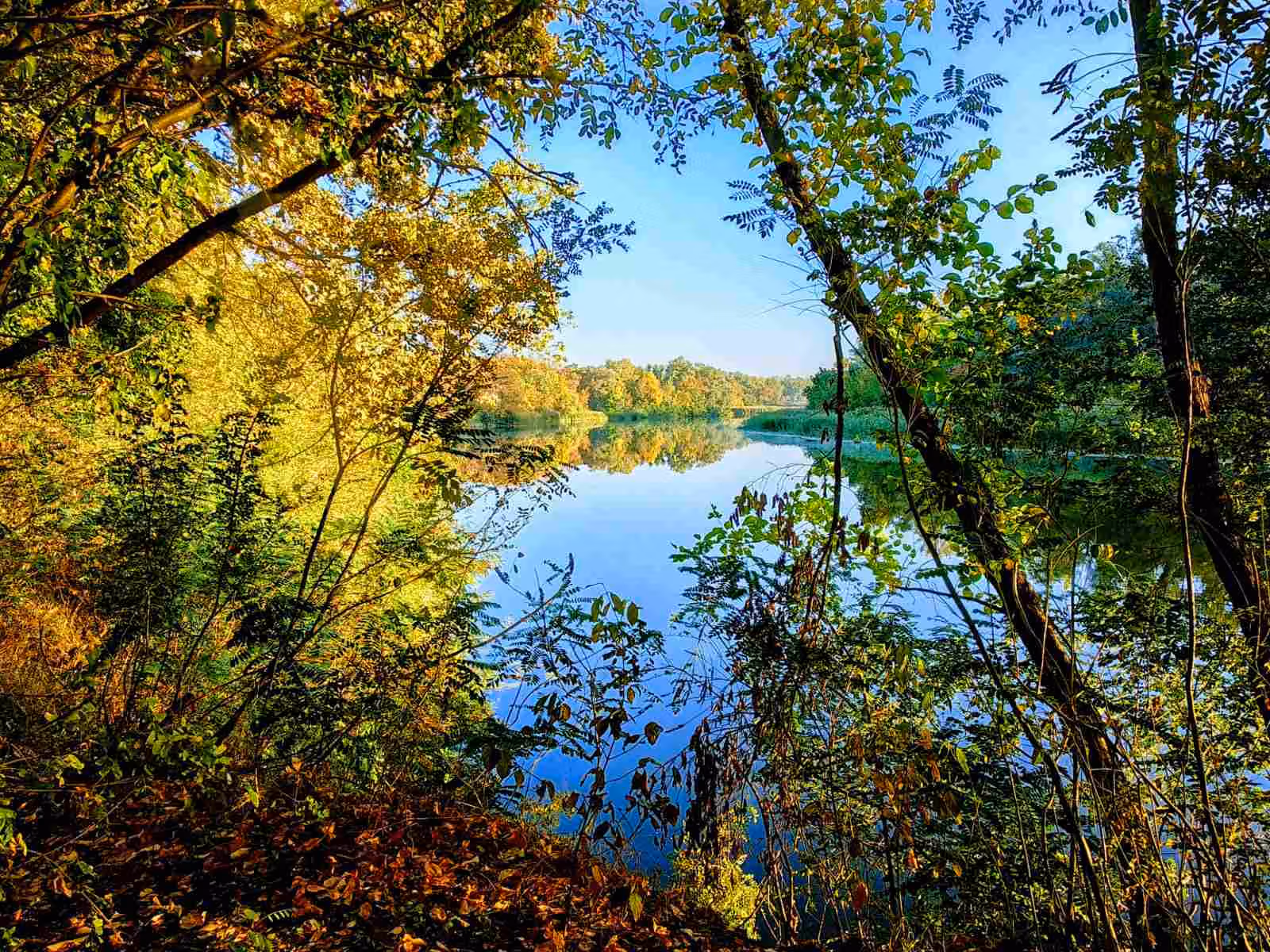 Золота осінь на річці Псел