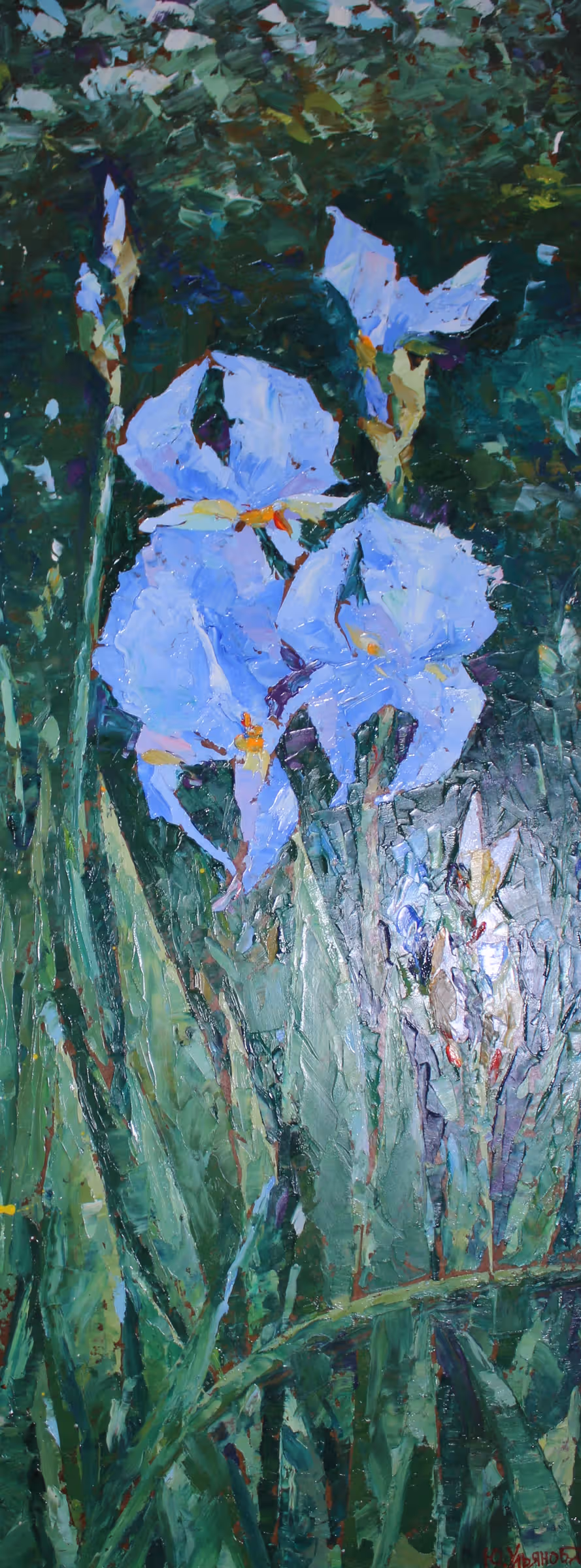 Перші півники. Оргаліт, олія, 65х26, 2023