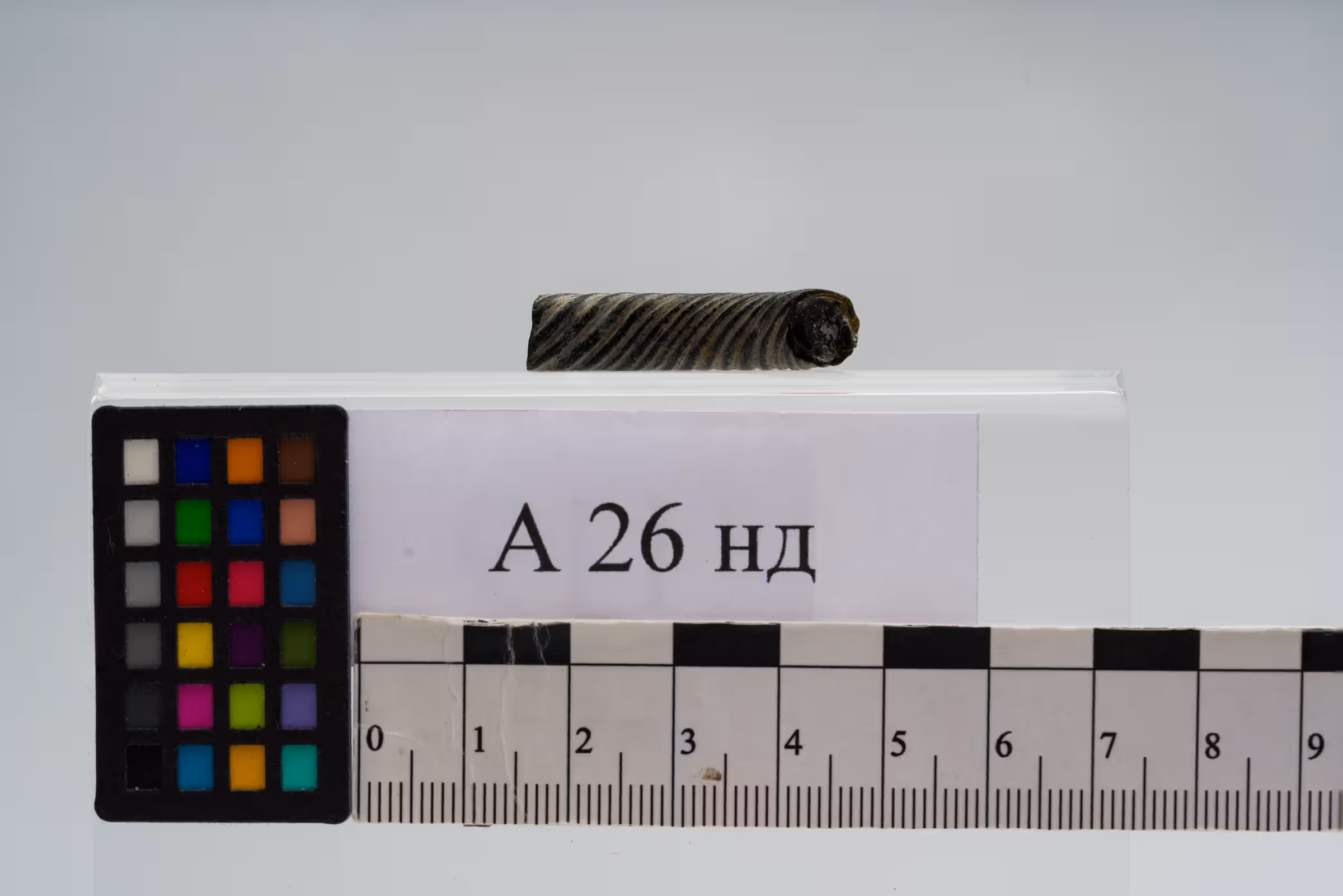 Фрагмент скляного браслету — мініатюра 4