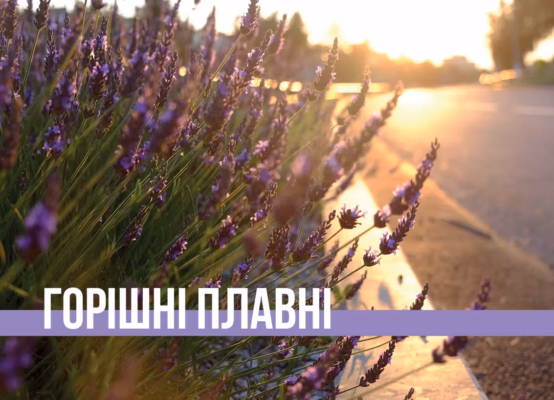 "Горішні Плавні"